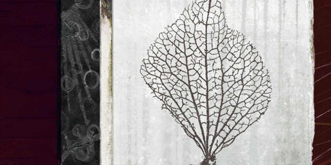 Coral I White Modern Wood Framed Art Print with Double Matting by Li-Leger, Noah