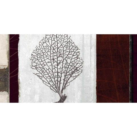 Coral II Black Modern Wood Framed Art Print with Double Matting by Li-Leger, Noah