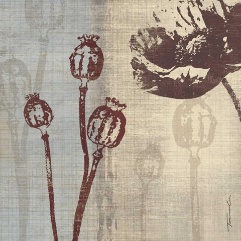 Chocolate Poppy Black Modern Wood Framed Art Print by Venter, Tandi