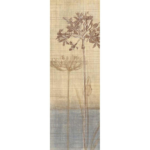 Botanical Sketchbook II Gold Ornate Wood Framed Art Print with Double Matting by Venter, Tandi