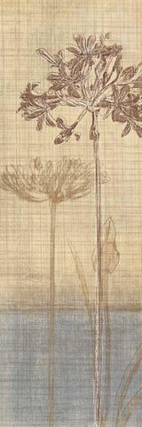Botanical Sketchbook II Black Ornate Wood Framed Art Print with Double Matting by Venter, Tandi