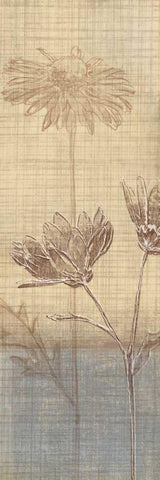Botanical Sketchbook III White Modern Wood Framed Art Print with Double Matting by Venter, Tandi