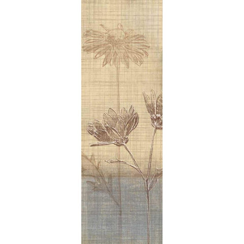Botanical Sketchbook III Black Modern Wood Framed Art Print by Venter, Tandi