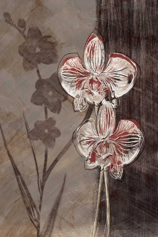 Orchid Sketch I White Modern Wood Framed Art Print with Double Matting by Venter, Tandi