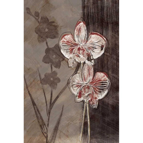 Orchid Sketch I White Modern Wood Framed Art Print by Venter, Tandi