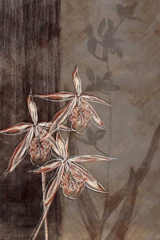 Orchid Sketch II Black Ornate Wood Framed Art Print with Double Matting by Venter, Tandi