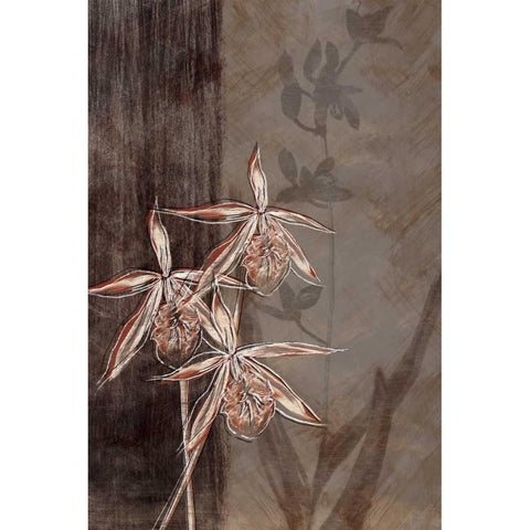 Orchid Sketch II Gold Ornate Wood Framed Art Print with Double Matting by Venter, Tandi