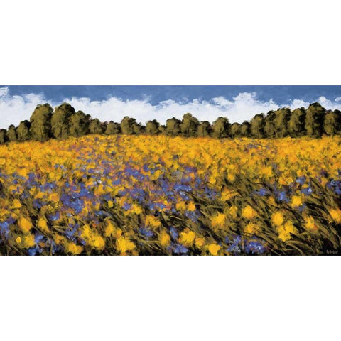 Fields of Gold Black Modern Wood Framed Art Print by Leidenfrost, Wayne