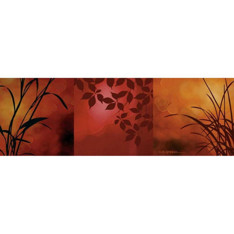 Views of Nature I Black Modern Wood Framed Art Print by Aparicio, Edward