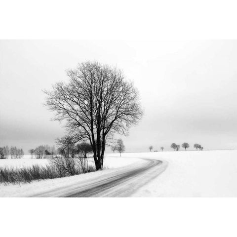 The Way Home White Modern Wood Framed Art Print by Szilagyi, lly