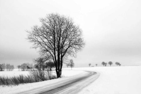 The Way Home White Modern Wood Framed Art Print with Double Matting by Szilagyi, lly