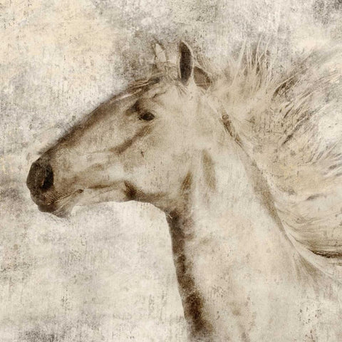 Stallion I White Modern Wood Framed Art Print with Double Matting by Janel Pahl