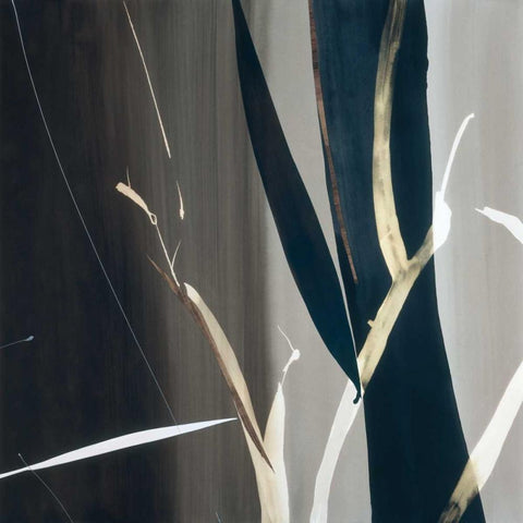 Woodland Festival II White Modern Wood Framed Art Print with Double Matting by Abellan, Lola