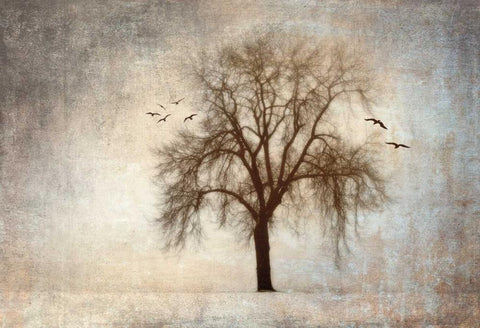 Treehouse Black Ornate Wood Framed Art Print with Double Matting by Szilagyi, Ily