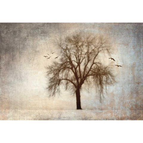 Treehouse Black Modern Wood Framed Art Print with Double Matting by Szilagyi, Ily