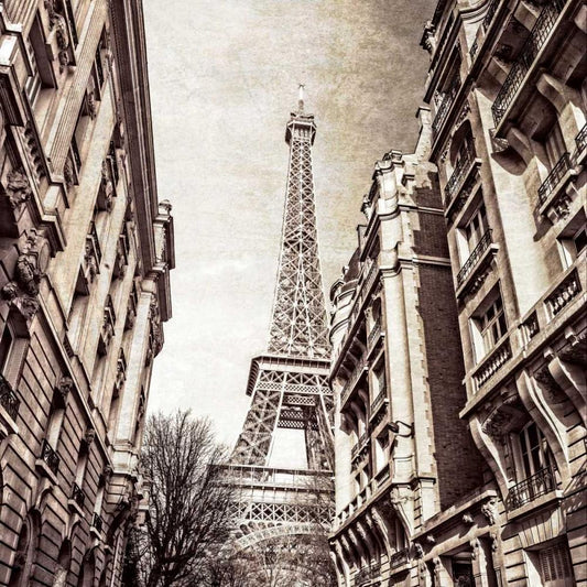 Image Only