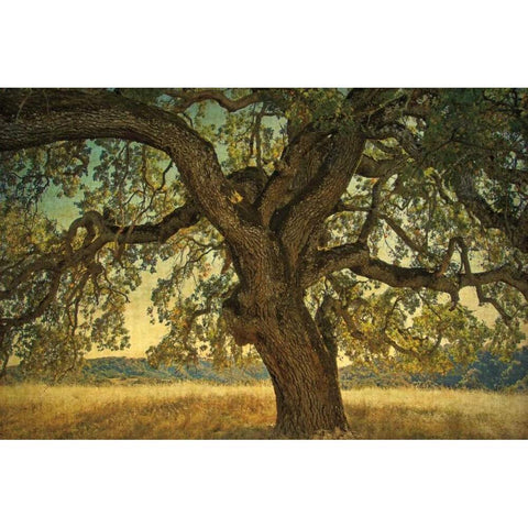 Blue Oak Silhouette Black Modern Wood Framed Art Print by Guion, William