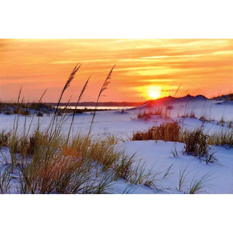 Seashore Sunset Black Modern Wood Framed Art Print with Double Matting by Jones, Mike