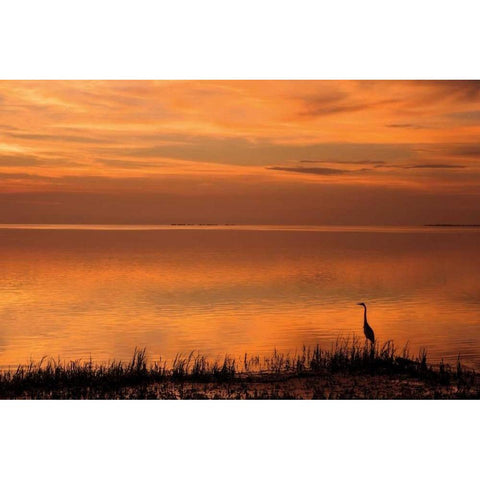 Crystal Beach Sunset White Modern Wood Framed Art Print by Jones, Mike