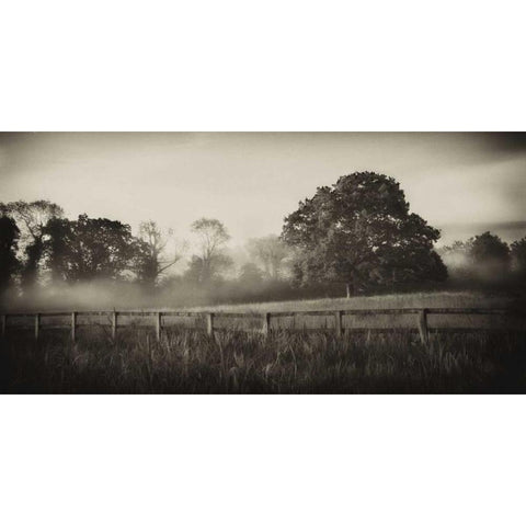 Foggy Day Black Modern Wood Framed Art Print by Pahl, Janel