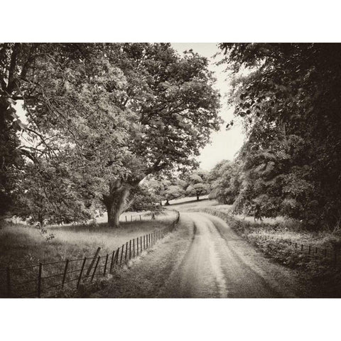 Country Roads Gold Ornate Wood Framed Art Print with Double Matting by Pahl, Janel