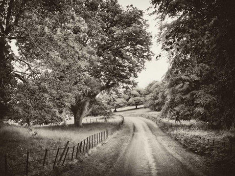 Country Roads White Modern Wood Framed Art Print with Double Matting by Pahl, Janel