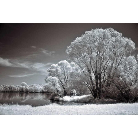 And Quiet White Modern Wood Framed Art Print by Szilagyi, Ily