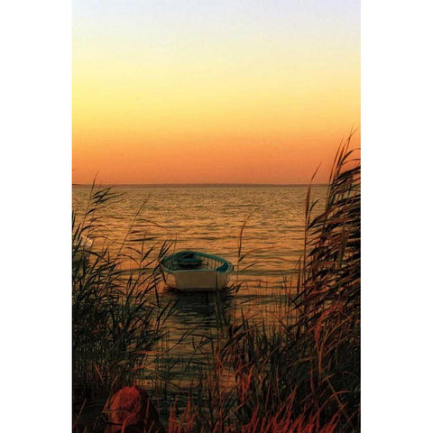 Solo White Modern Wood Framed Art Print by Szilagyi, Ily
