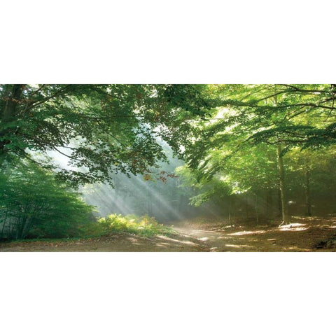 Morning Break Black Modern Wood Framed Art Print by Vila, Toni