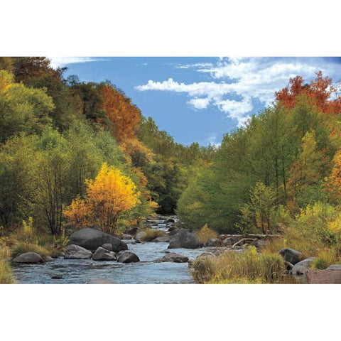 Near Perfect Day White Modern Wood Framed Art Print by Jones, Mike