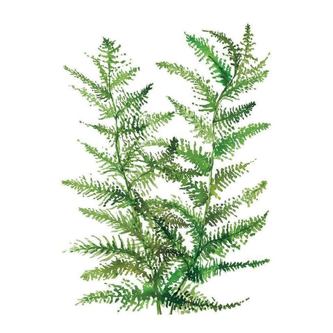 Wild Greens II White Modern Wood Framed Art Print by Meyers, Rebecca
