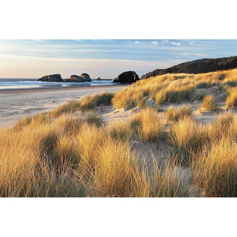 Dune Grass and Beach Gold Ornate Wood Framed Art Print with Double Matting by Frates, Dennis