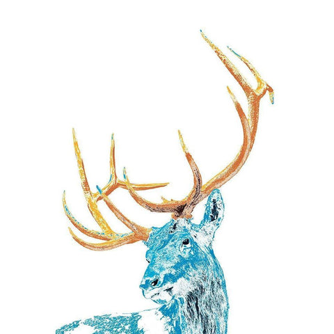 Antlers and All White Modern Wood Framed Art Print by Pelkey, Marvin