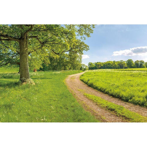 Greenest Pastures Black Modern Wood Framed Art Print by Frank, Assaf