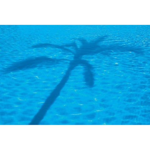 Vacationing I White Modern Wood Framed Art Print by Frates, Dennis