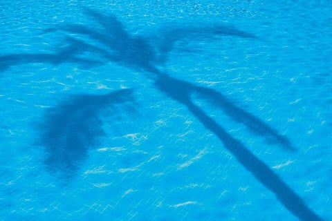 Vacationing II White Modern Wood Framed Art Print with Double Matting by Frates, Dennis