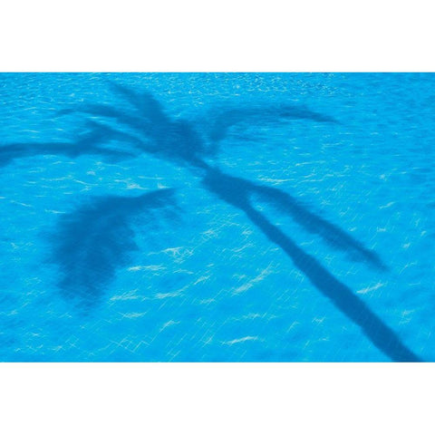 Vacationing II Black Modern Wood Framed Art Print by Frates, Dennis