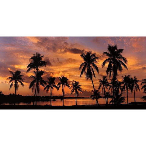 Tropical Sunsets I White Modern Wood Framed Art Print by Jones, Mike