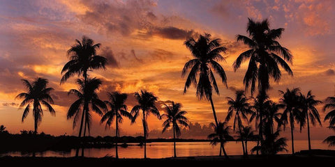 Tropical Sunsets I Black Ornate Wood Framed Art Print with Double Matting by Jones, Mike