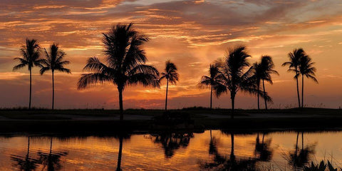 Tropical Sunsets II Black Ornate Wood Framed Art Print with Double Matting by Jones, Mike