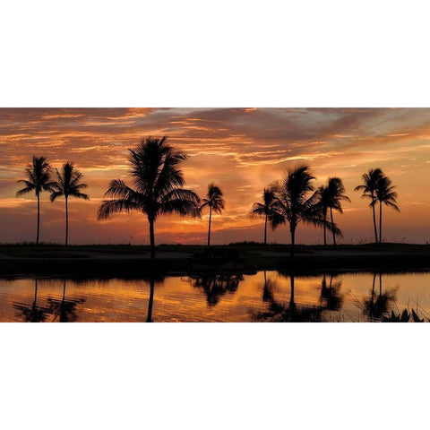 Tropical Sunsets II Gold Ornate Wood Framed Art Print with Double Matting by Jones, Mike