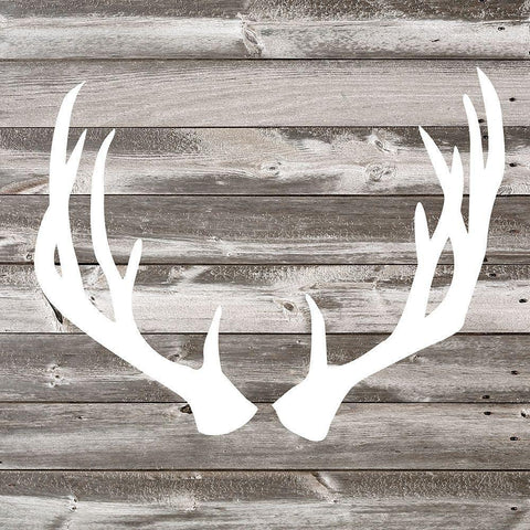 Antler Art I Black Ornate Wood Framed Art Print with Double Matting by Venter, Tandi