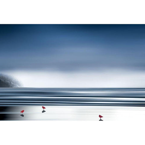 By The Shore Black Modern Wood Framed Art Print by Pelkey, Marvin