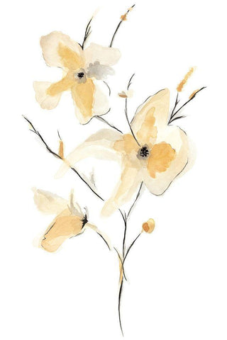 Morning Glory I White Modern Wood Framed Art Print with Double Matting by Golden, Corrie