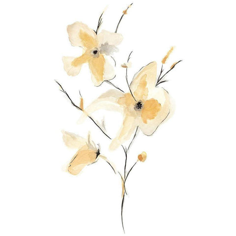Morning Glory I Black Modern Wood Framed Art Print with Double Matting by Golden, Corrie