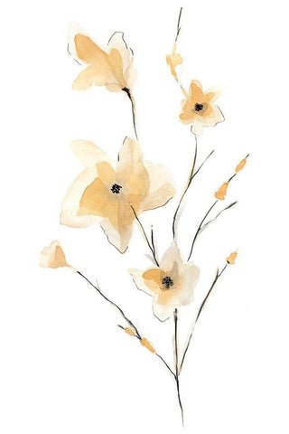 Morning Glory II White Modern Wood Framed Art Print with Double Matting by Golden, Corrie
