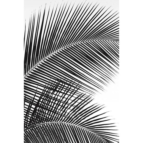 Tropical Fan Gold Ornate Wood Framed Art Print with Double Matting by Frates, Dennis