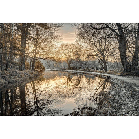 Frosty Morning White Modern Wood Framed Art Print by Frank, Assaf