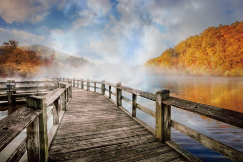 Dancing Fog At The Lake Black Ornate Wood Framed Art Print with Double Matting by Celebrate Life Gallery