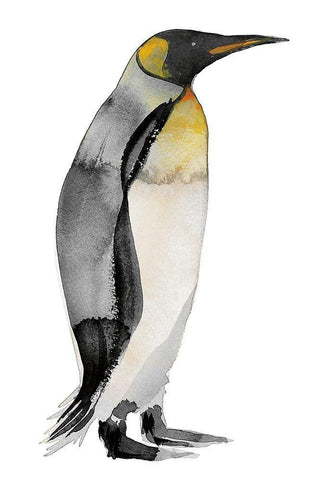 Penguin IV White Modern Wood Framed Art Print with Double Matting by Billinghurst, Marina